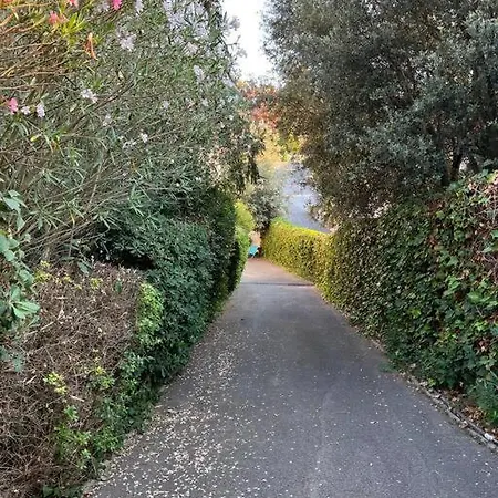 Privado En Casa De Montana